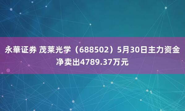 永華证券 茂莱光学（688502）5月30日主力资金净卖出4789.37万元