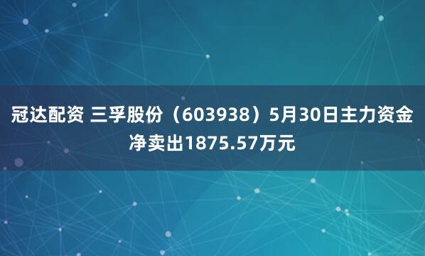 冠达配资 三孚股份（603938）5月30日主力资金净卖出1875.57万元