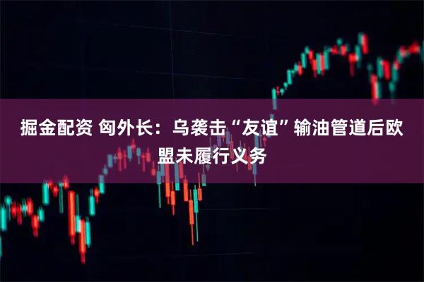掘金配资 匈外长：乌袭击“友谊”输油管道后欧盟未履行义务