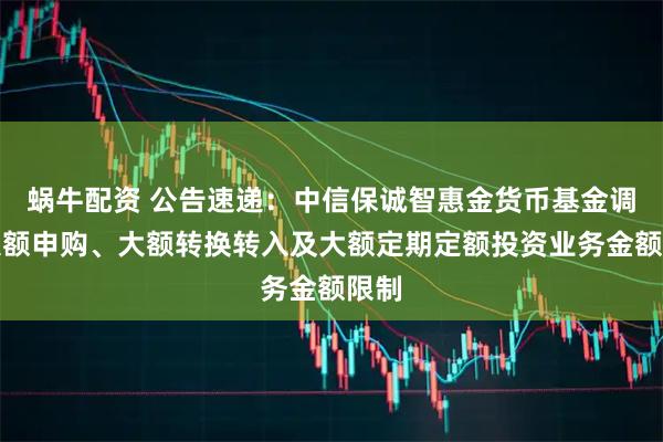 蜗牛配资 公告速递：中信保诚智惠金货币基金调整大额申购、大额转换转入及大额定期定额投资业务金额限制