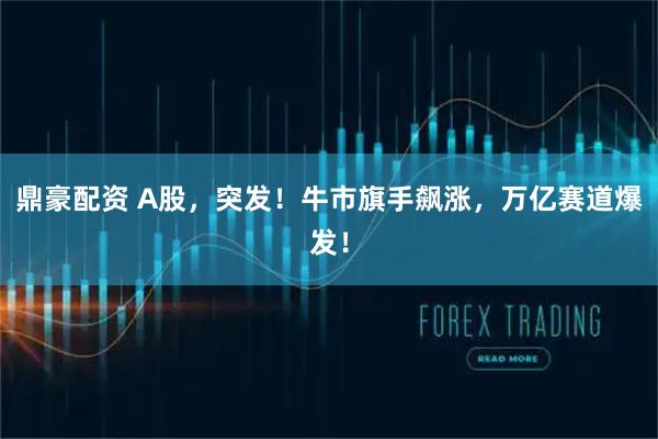 鼎豪配资 A股，突发！牛市旗手飙涨，万亿赛道爆发！