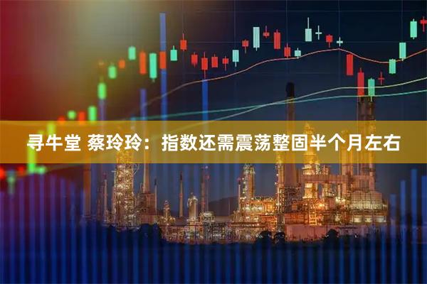 寻牛堂 蔡玲玲：指数还需震荡整固半个月左右
